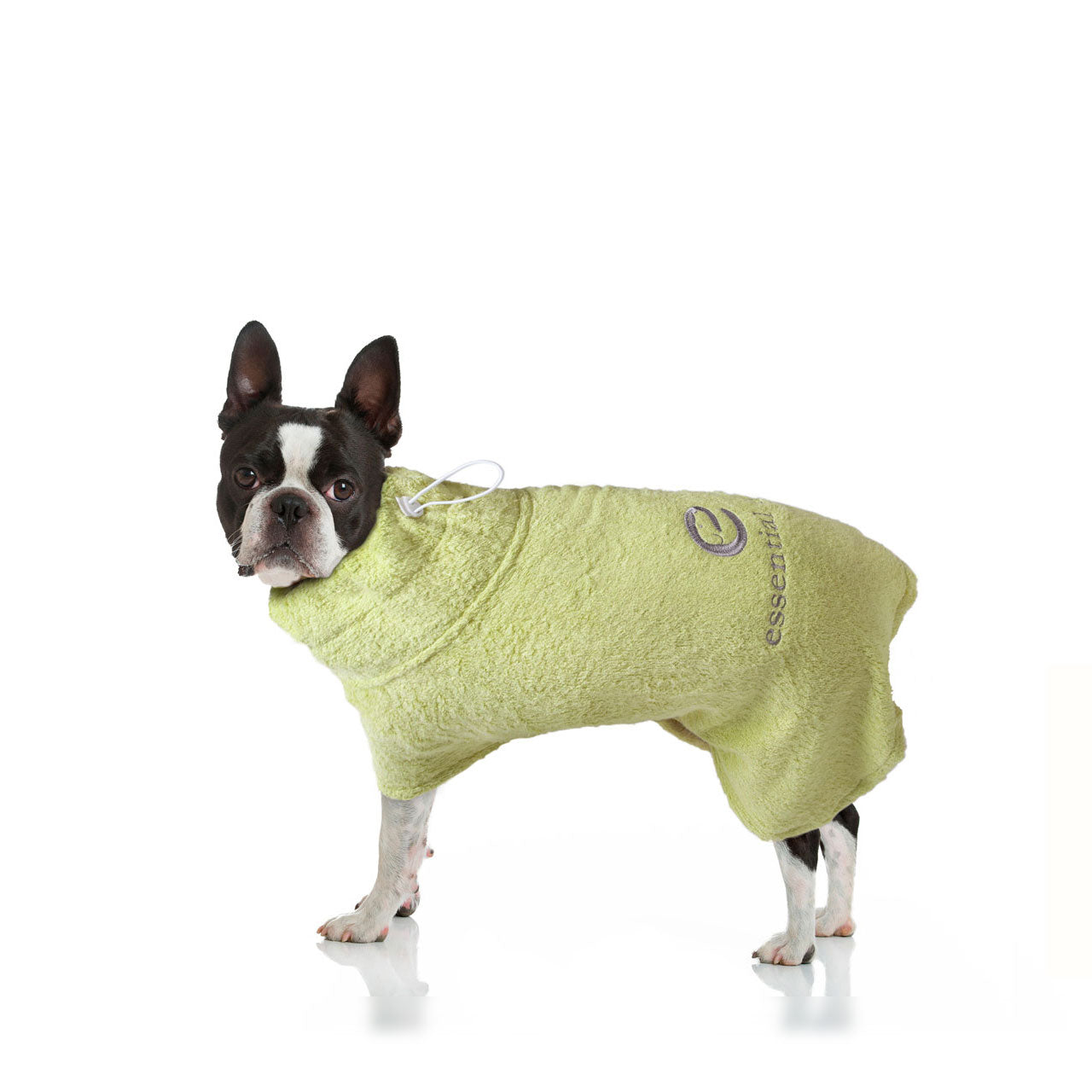 Organic Bamboo Dog Bathrobe (XS - XL) LIMITED EDITION