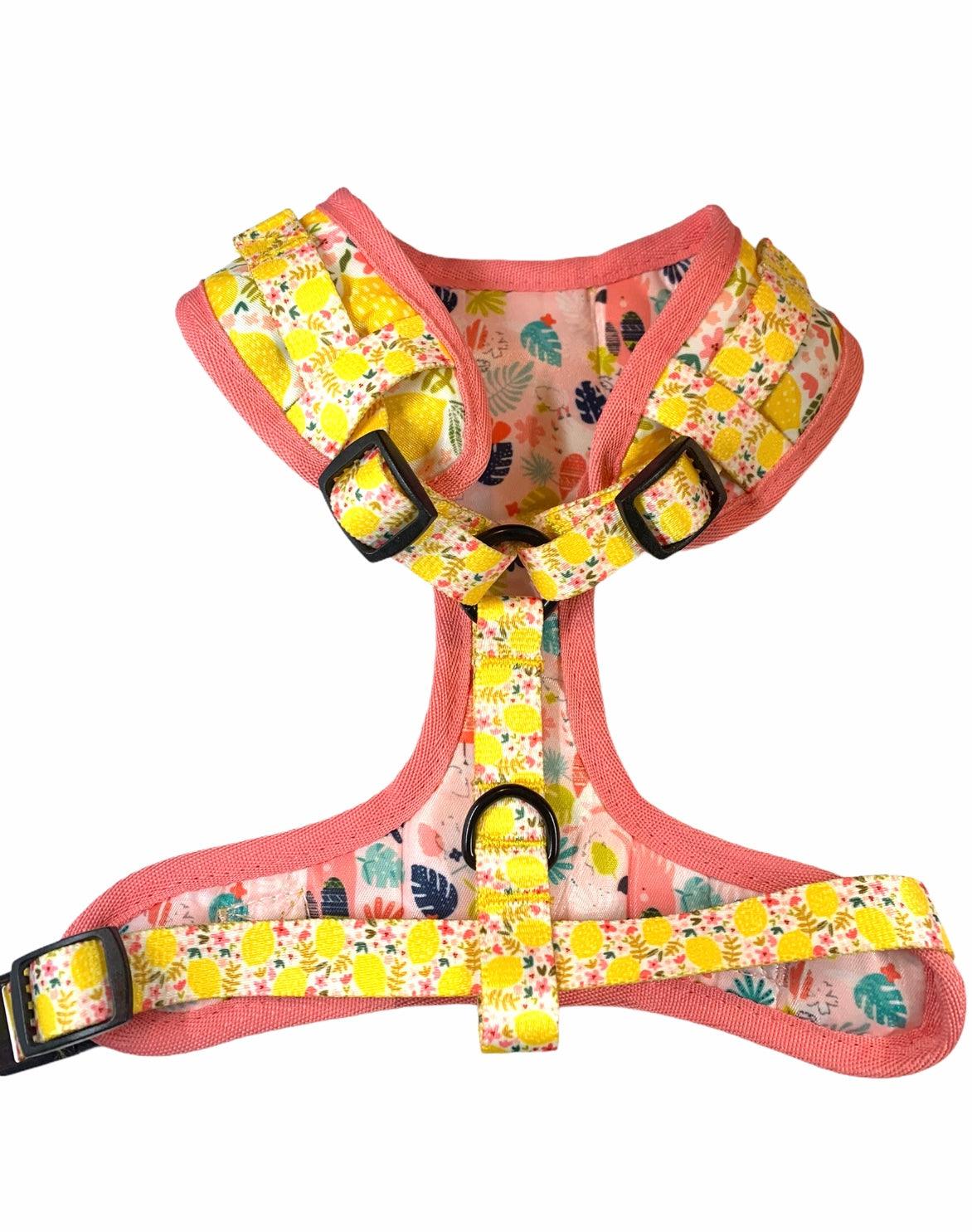 ADJUSTABLE HARNESS - OH MY LEMON