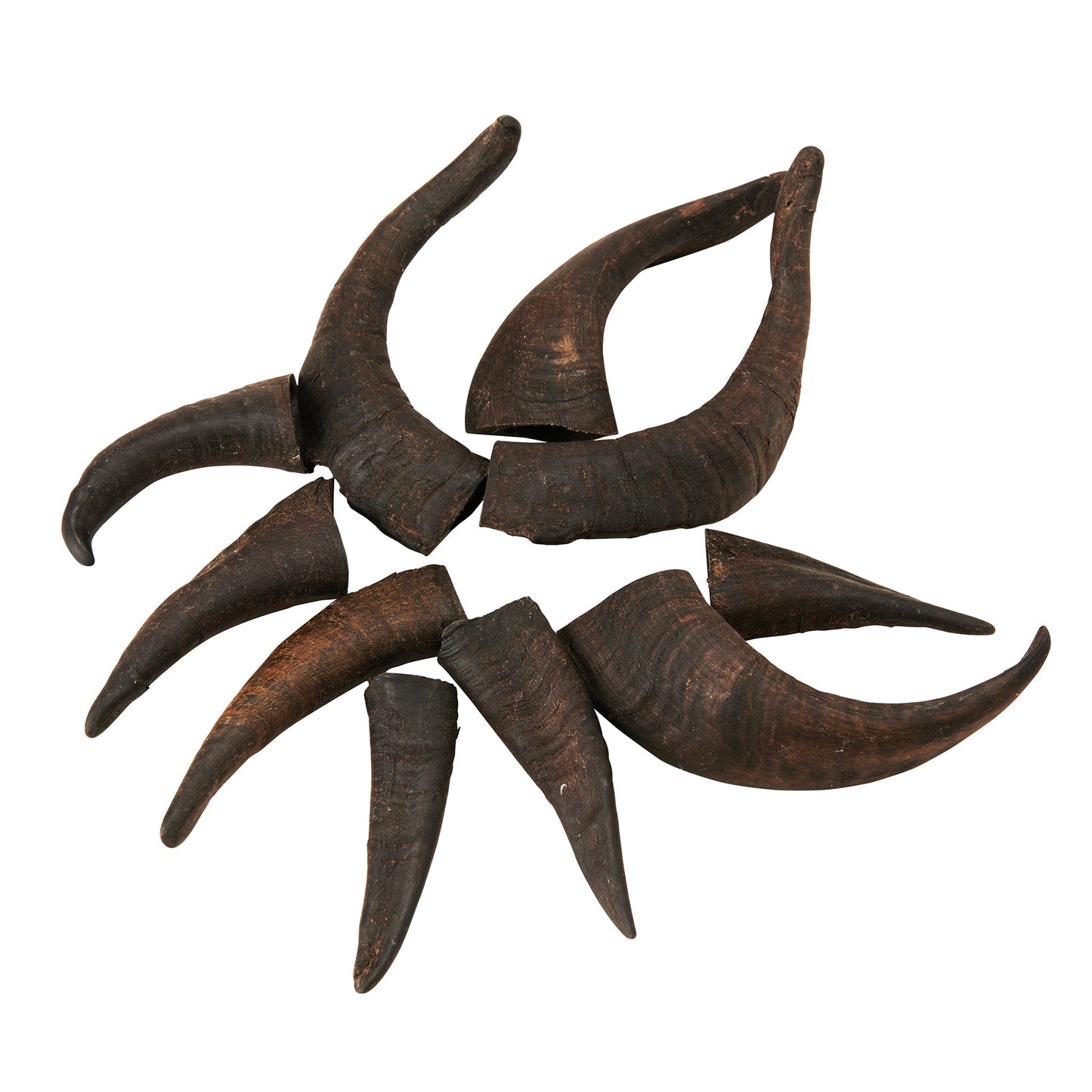 Mountain Goat Horn Dog Chews-10 Count-10 oz (WSP)