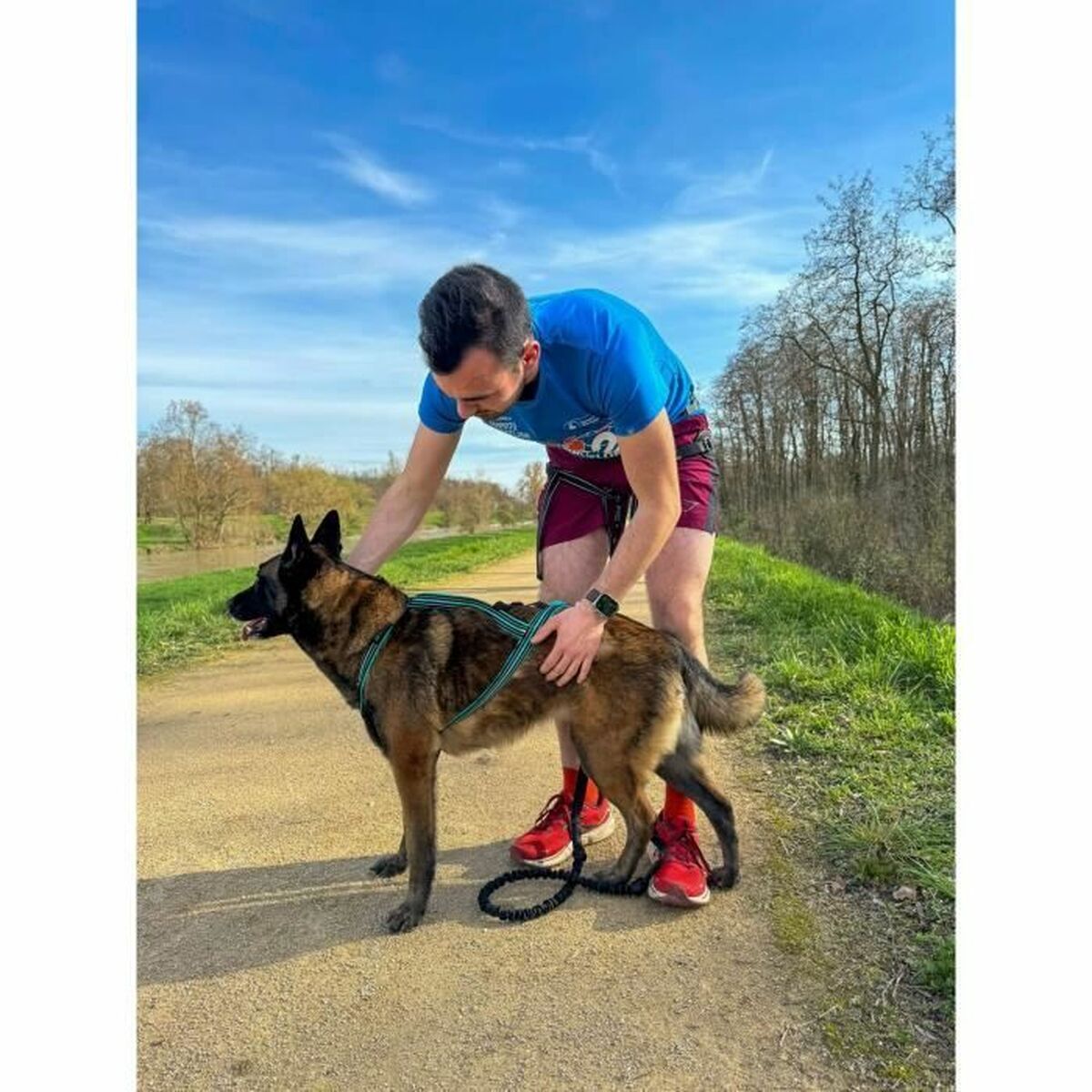 Dog Harness Olympia M-2