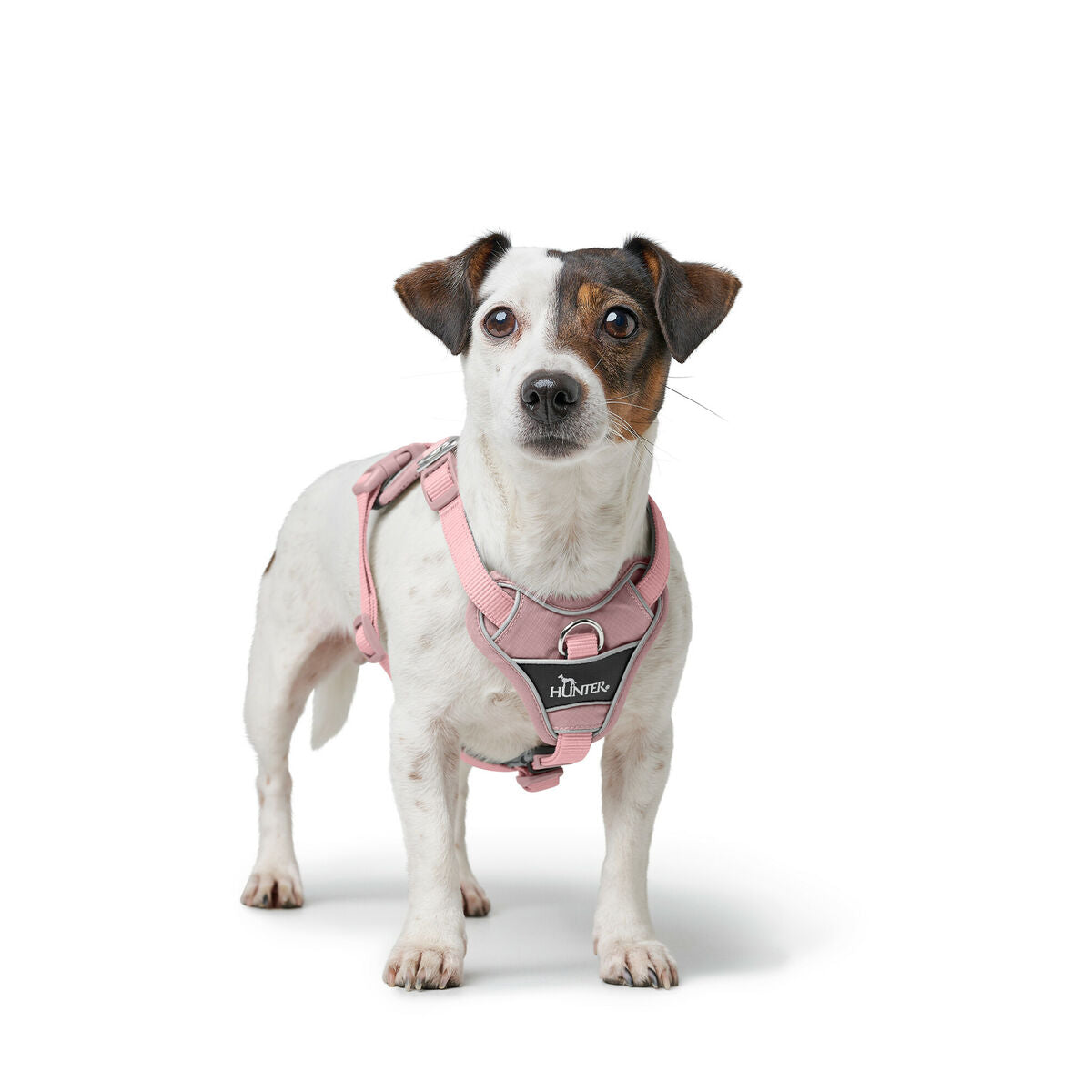 Dog Harness Hunter DIVO UP Pink L/XL-1