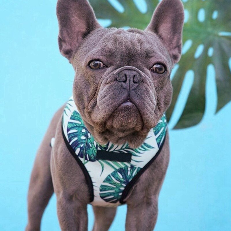 Breathable Small Dog Pet Harness Puppy Cat Vest Harness Collar For Chihuahua Pug Bulldog Cat arnes perro